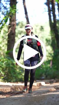 BIB:  <button type="button" onclick="openModal(26787875)" class="btn btn-primary btn-sm float-right" data-toggle="modal" data-target=".modal-high-quality">
                <i class="fa fa-download"></i> Download
                </button>